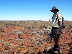 Meekatharra, Western Australia.